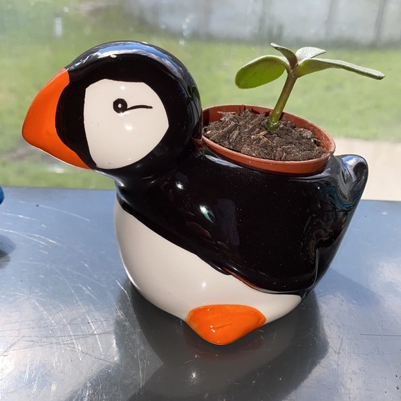 Pepper Penguin Ceramic Animal Planter 🐧🌱 - Picture 2 of 4